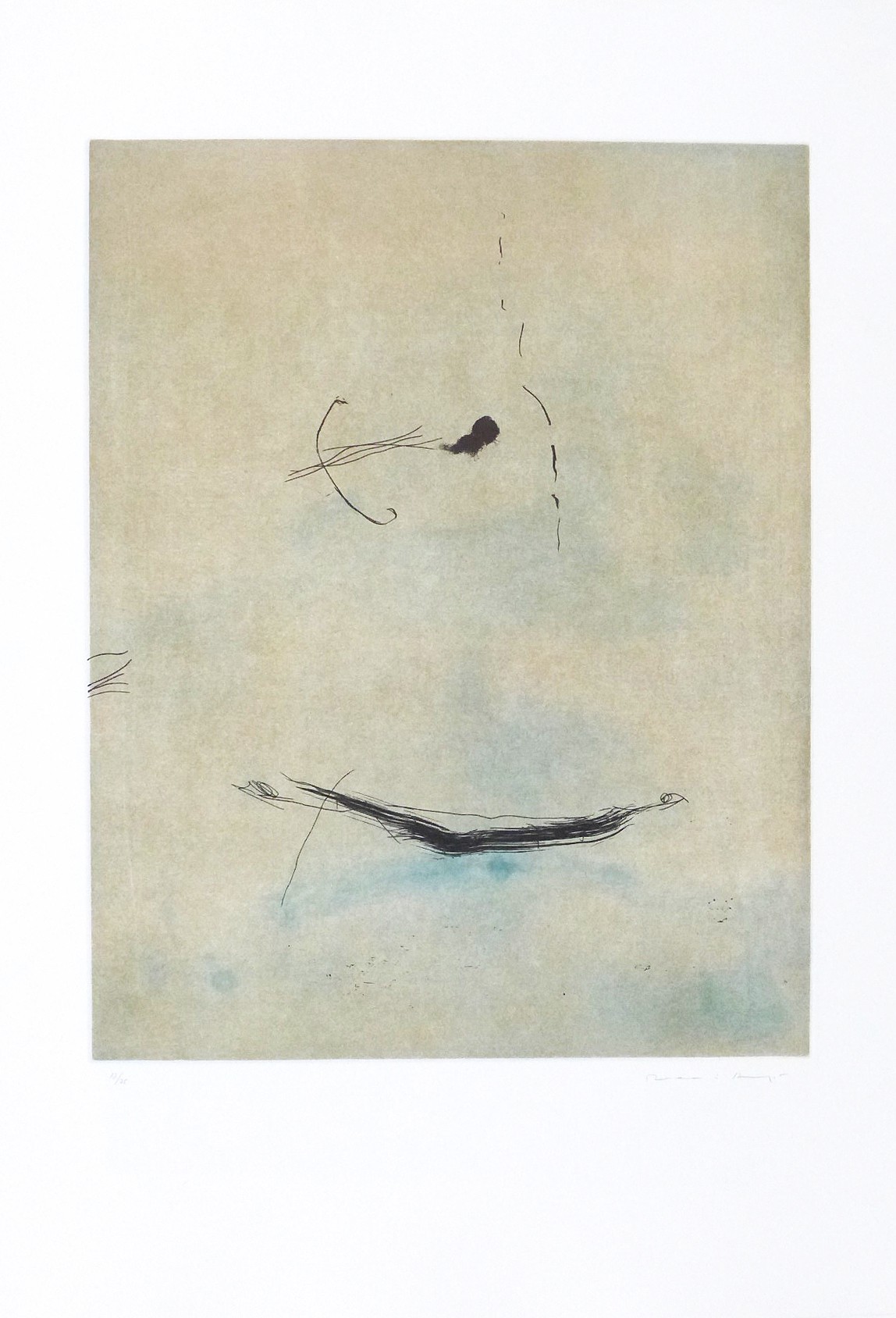 Josep Riera i Arago, Avió i barca Josep Riera i Arago, Avió i barca