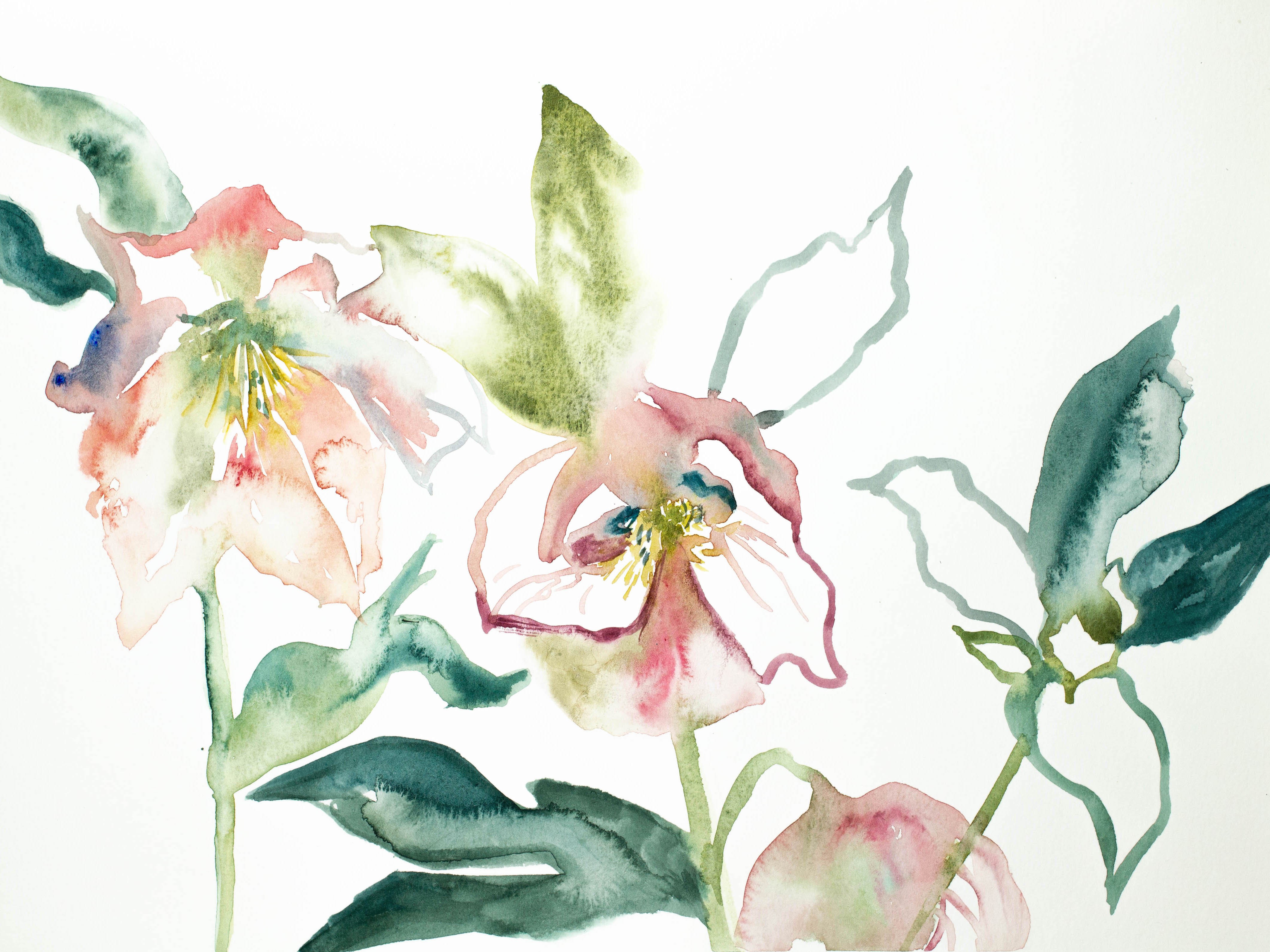 Elizabeth Becker, Garden Study Elizabeth Becker, Garden Study