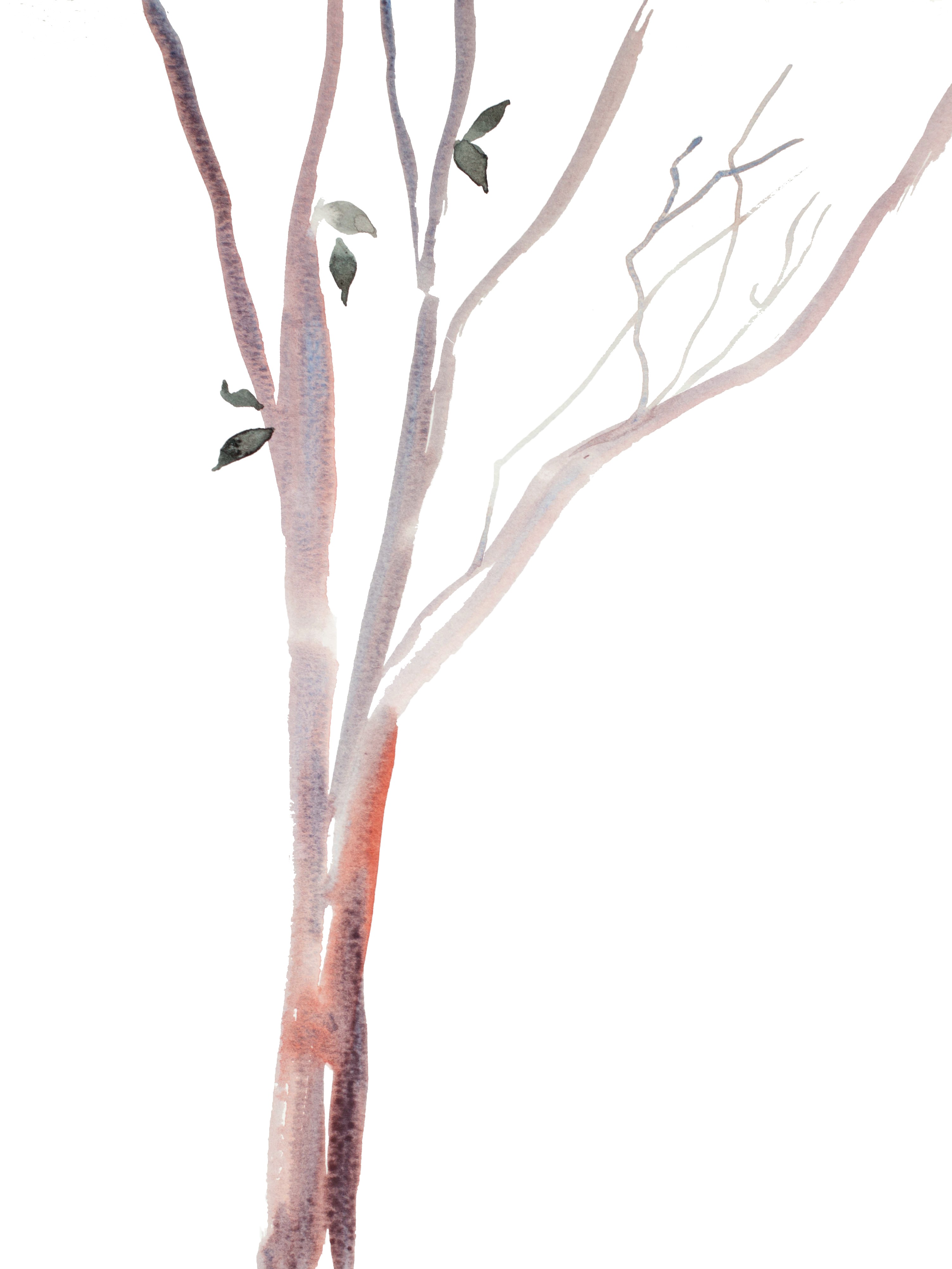 Elizabeth Becker, Tree Study No. 34 Elizabeth Becker, Tree Study No. 34