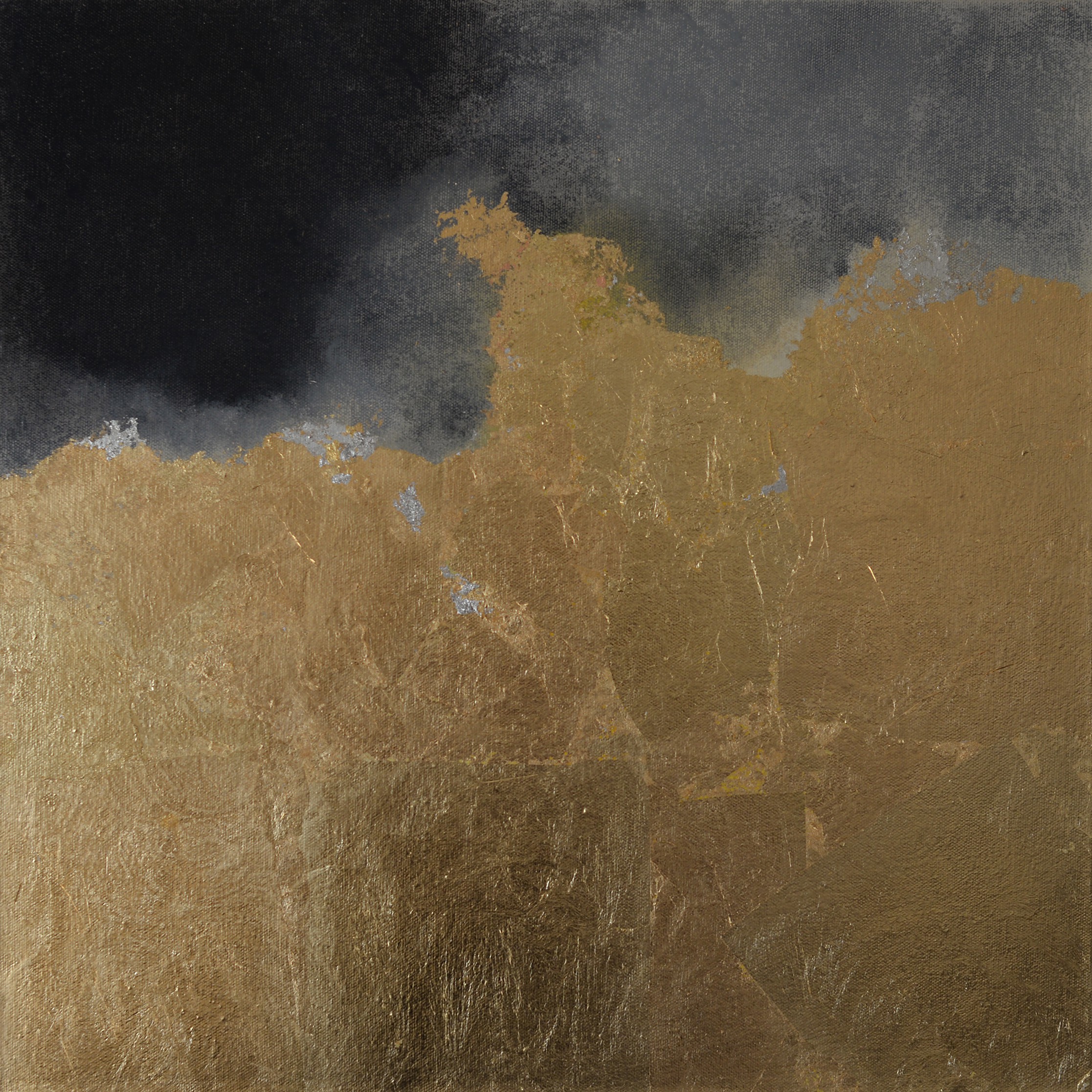 Kerstin Paillard, Hic Sunt Dracones 1 Kerstin Paillard, Hic Sunt Dracones 1