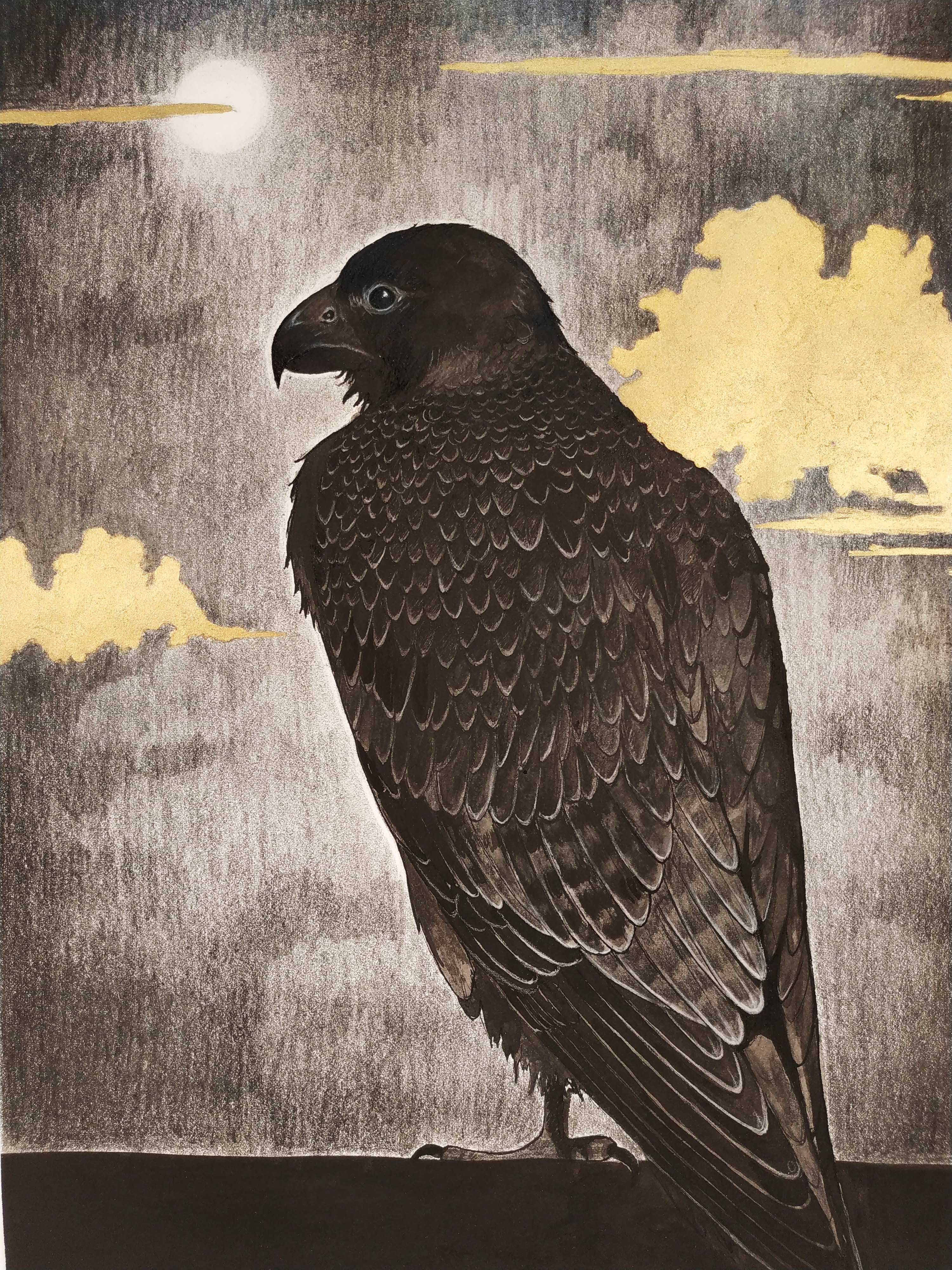 Orphné Achéron, Dark Falcon Orphné Achéron, Dark Falcon