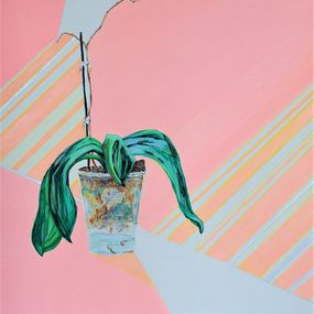 Remains Of An Orchid