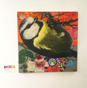 Keng Wai Lee, Blue Tit 5 Keng Wai Lee, Blue Tit 5