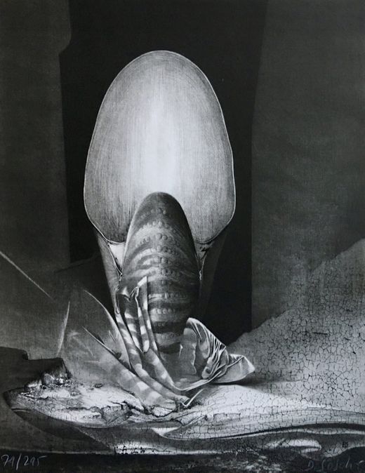 Dominique Sosolic