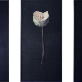 Sin título (Siniestro), Triptych, Marina Núñez