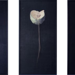 Painting, Sin título (Siniestro), Triptych, Marina Núñez