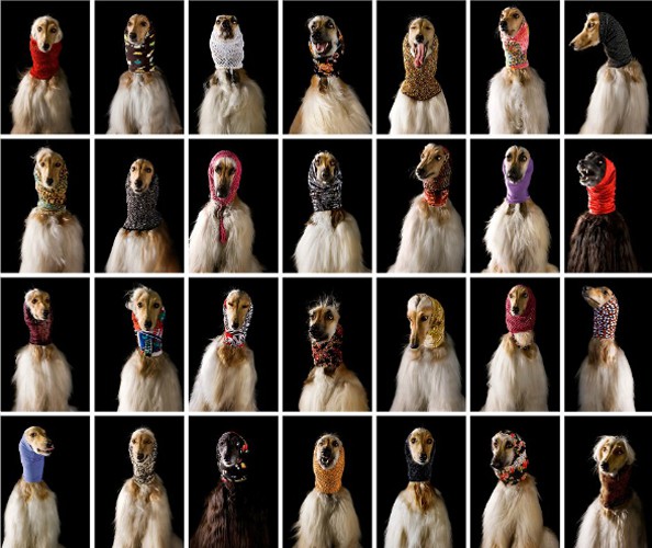 Julia Christe, Faces Julia Christe, Faces