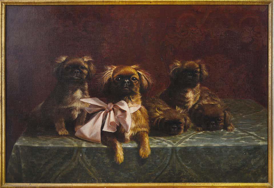 Filiberto Vitaliano Rossi, Pekingese Family of Dogs Filiberto Vitaliano Rossi, Pekingese Family of Dogs