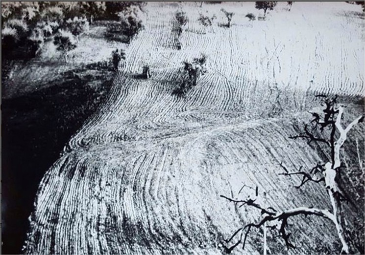 ▷ Mario Giacomelli | Buy Original Art Online | Artsper
