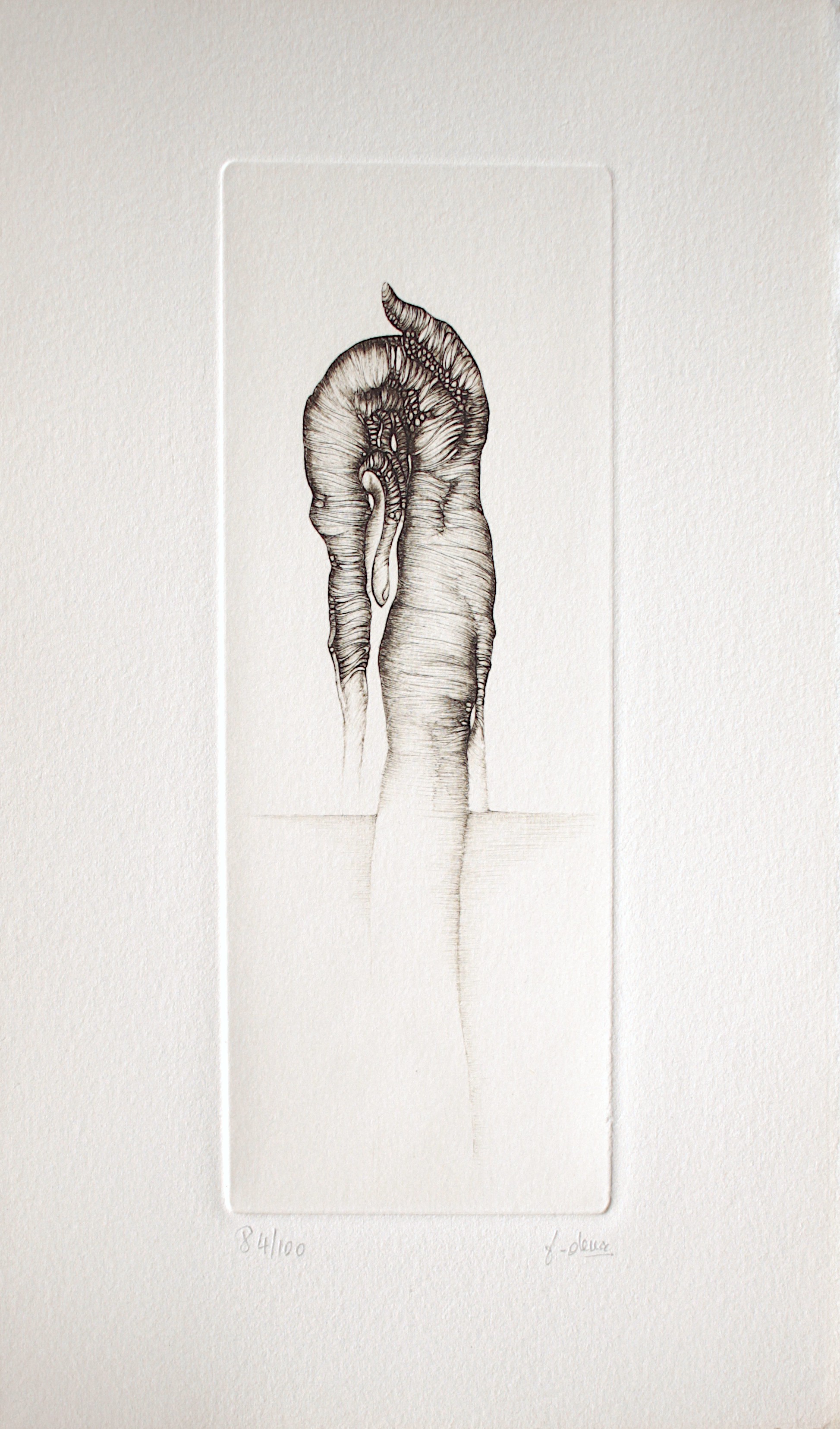 Fred Deux, Gris 2 Fred Deux, Gris 2