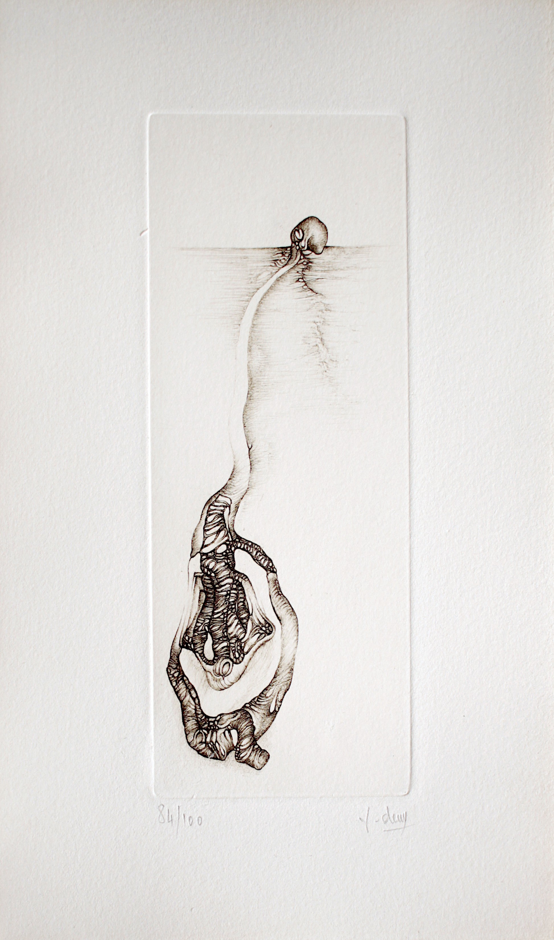 Fred Deux, Gris 5 Fred Deux, Gris 5