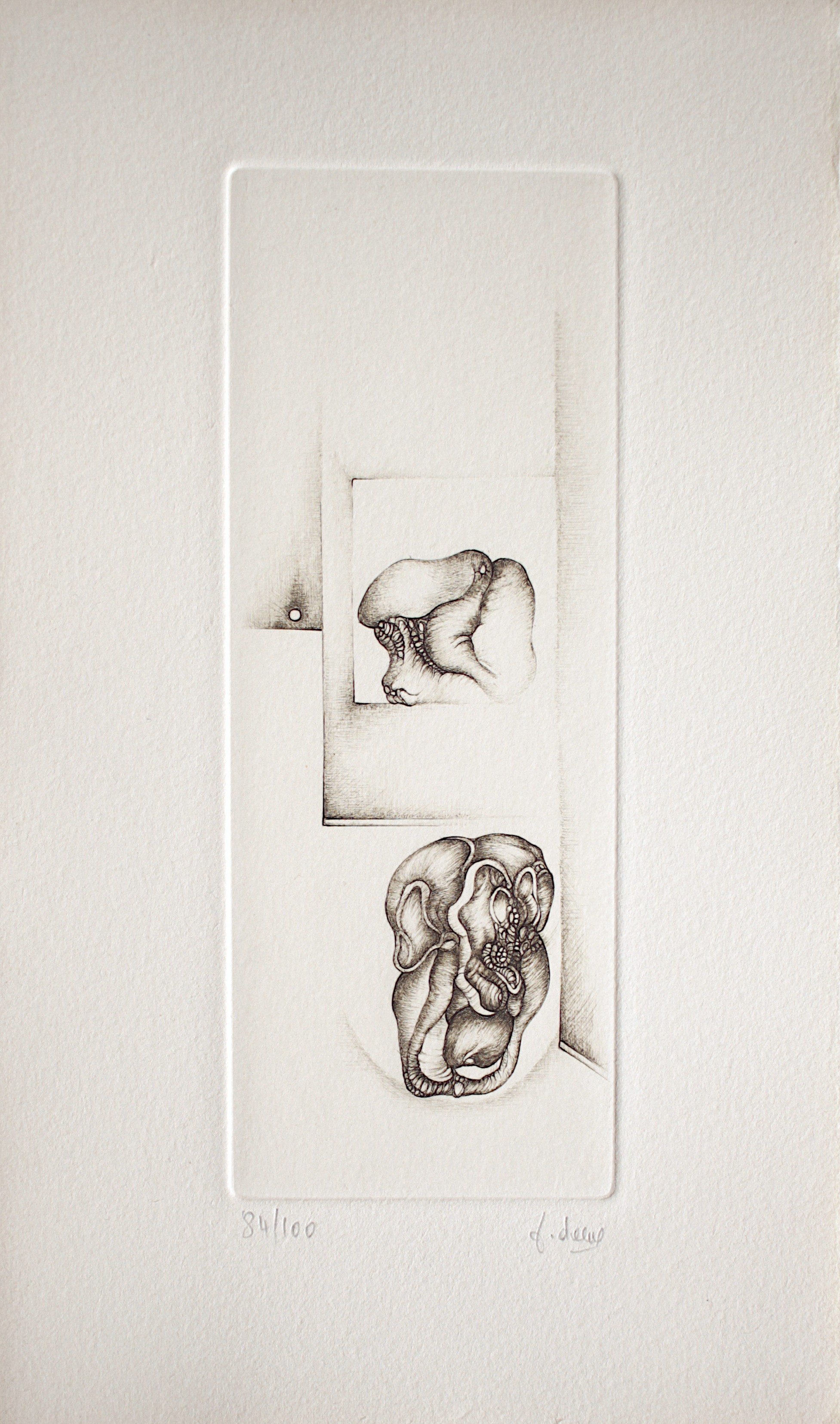 Fred Deux, Gris 7 Fred Deux, Gris 7