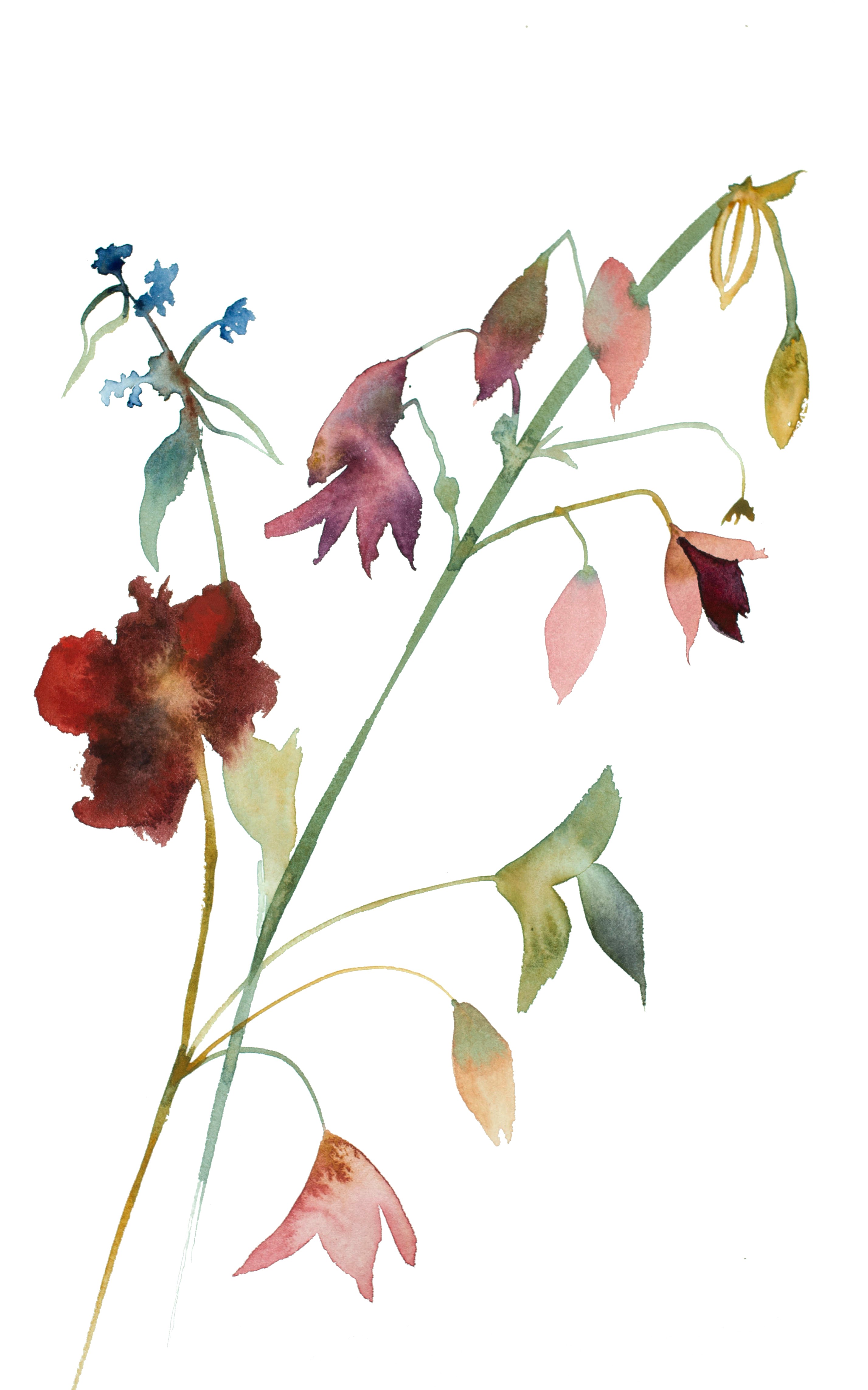 Elizabeth Becker, Floral No. 1 Elizabeth Becker, Floral No. 1