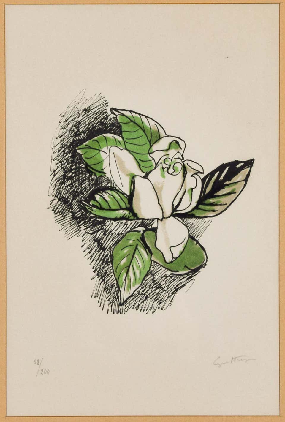 Renato Guttuso, Gardenia Renato Guttuso, Gardenia