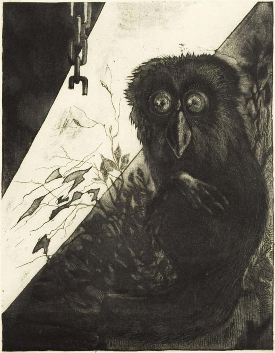 Leo Guida, Owl Leo Guida, Owl