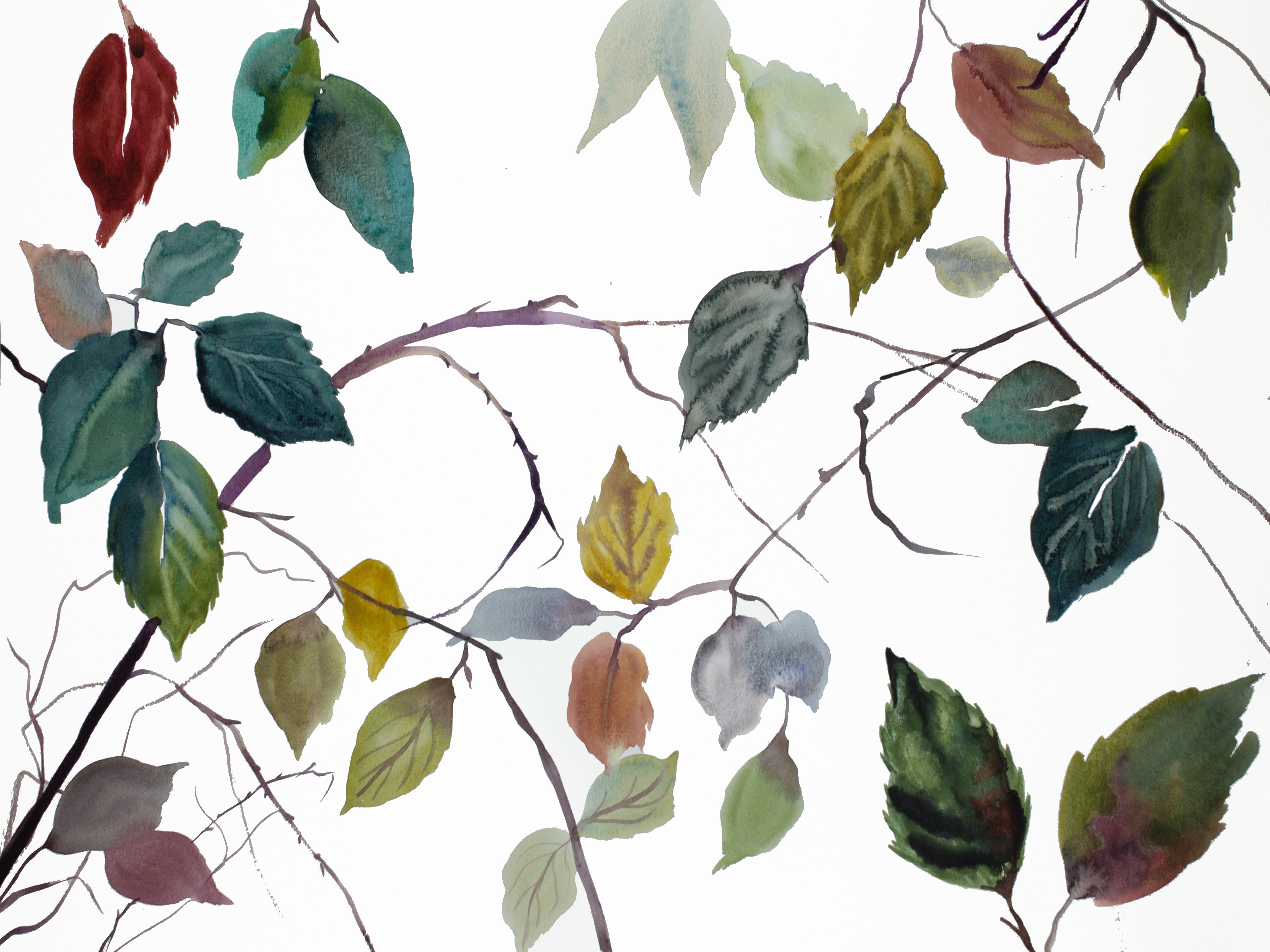 Elizabeth Becker, Branch Study No. 26 Elizabeth Becker, Branch Study No. 26