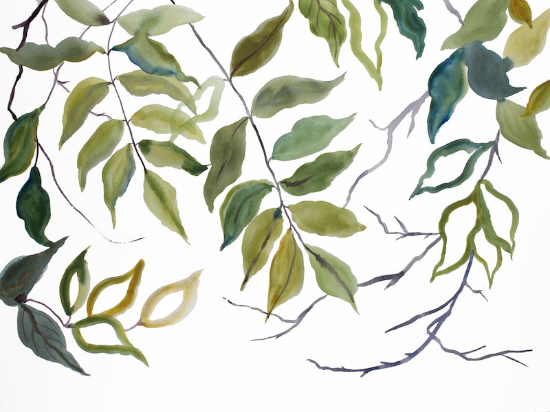 Elizabeth Becker, Branch Study No. 27 Elizabeth Becker, Branch Study No. 27