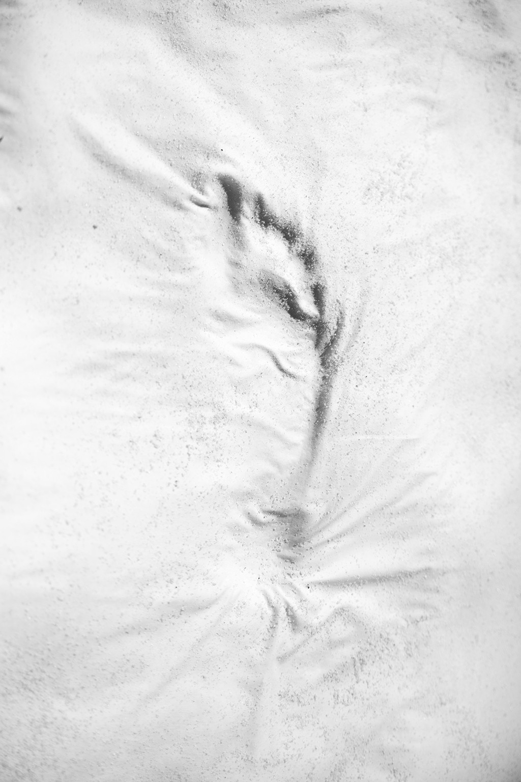 Ricky Cohete, Man: from the Blanco series. Ricky Cohete, Man: from the Blanco series.