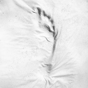 Photography, Man: from the Blanco series., Ricky Cohete