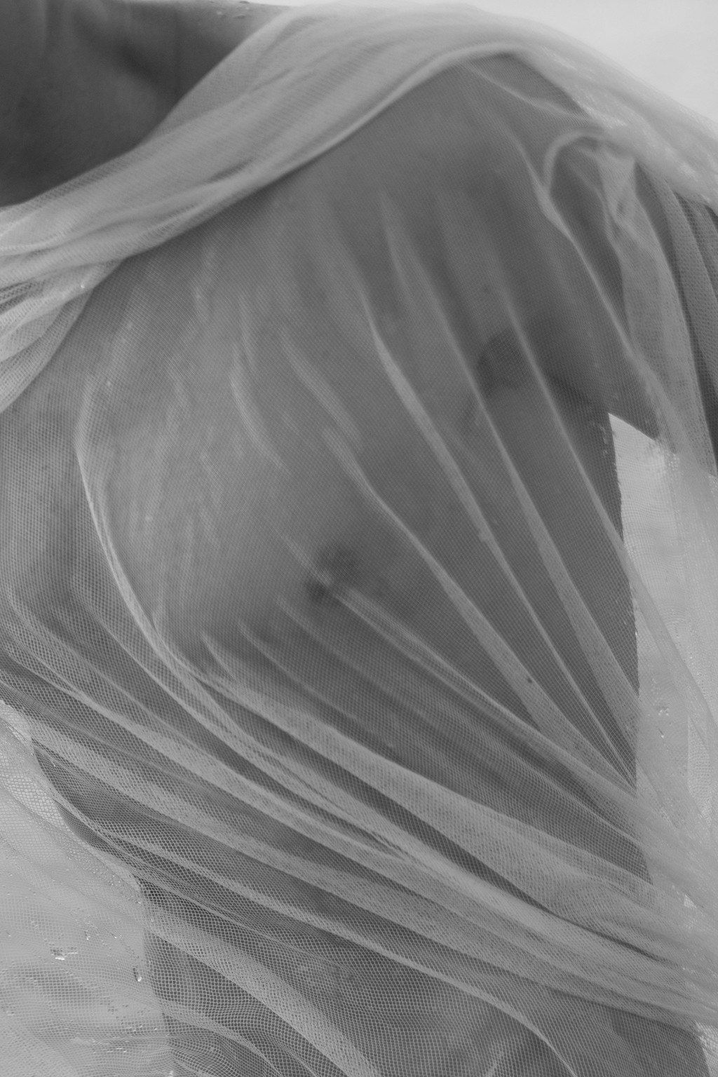 Ricky Cohete, Untitled 2: from the Blanco series. Ricky Cohete, Untitled 2: from the Blanco series.
