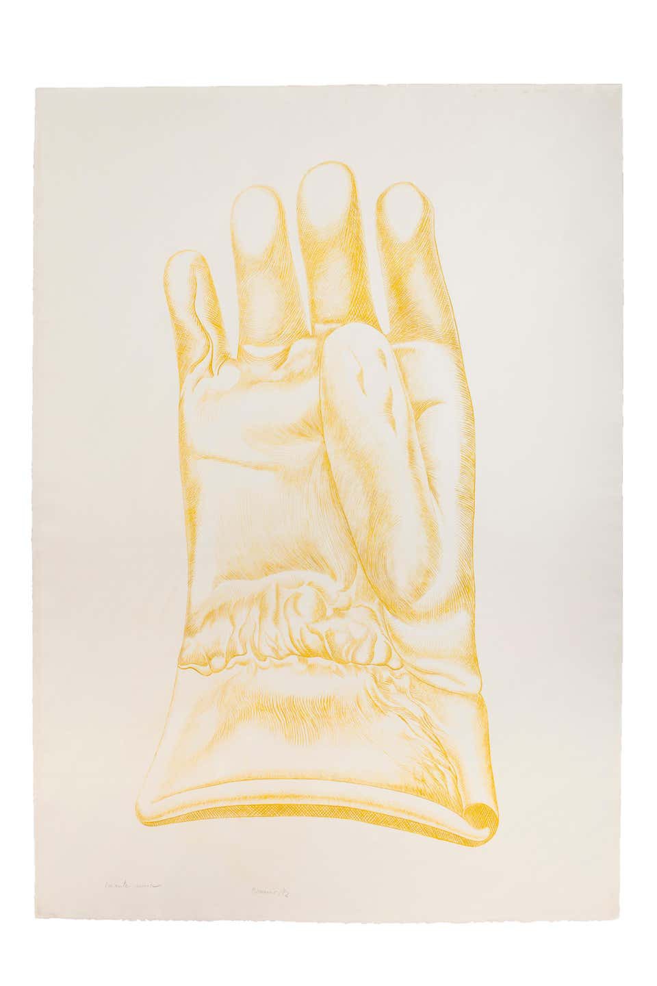Giacomo Porzano, Yellow Glove Giacomo Porzano, Yellow Glove