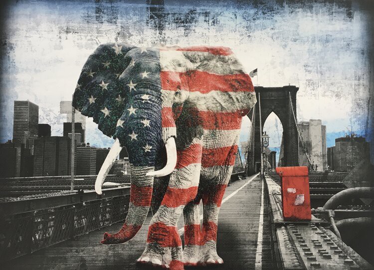 Lars Tunebo, Tripping In America Lars Tunebo, Tripping In America