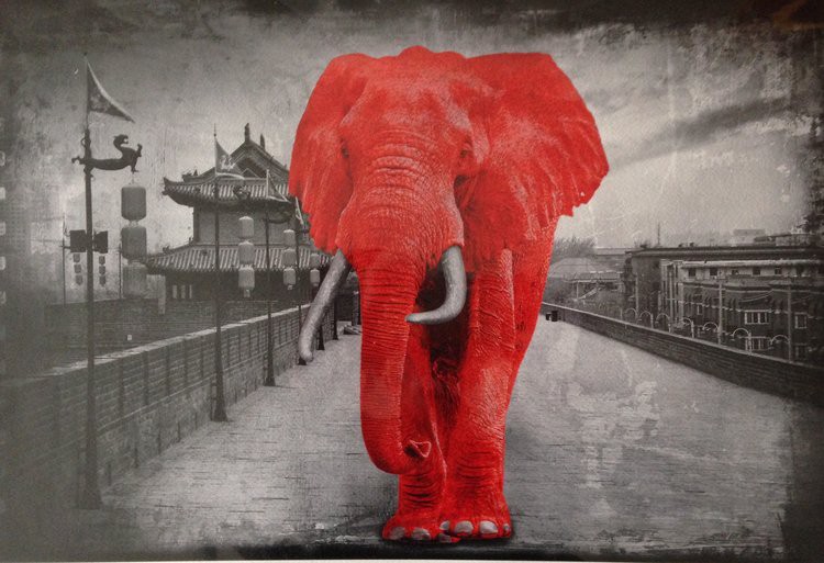 Lars Tunebo, Party Elephant Lars Tunebo, Party Elephant