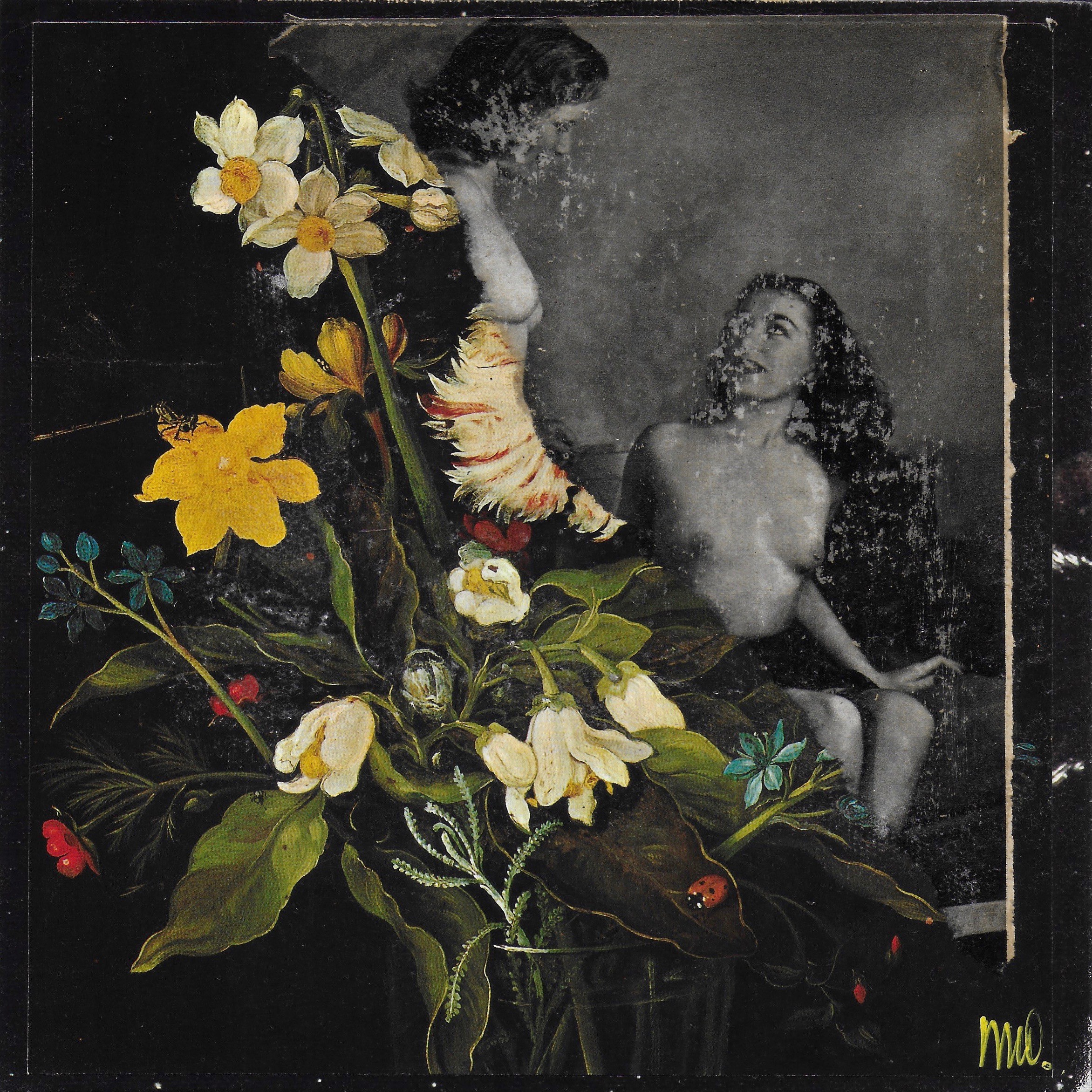 Marian Williams, Fleurs 1 Marian Williams, Fleurs 1