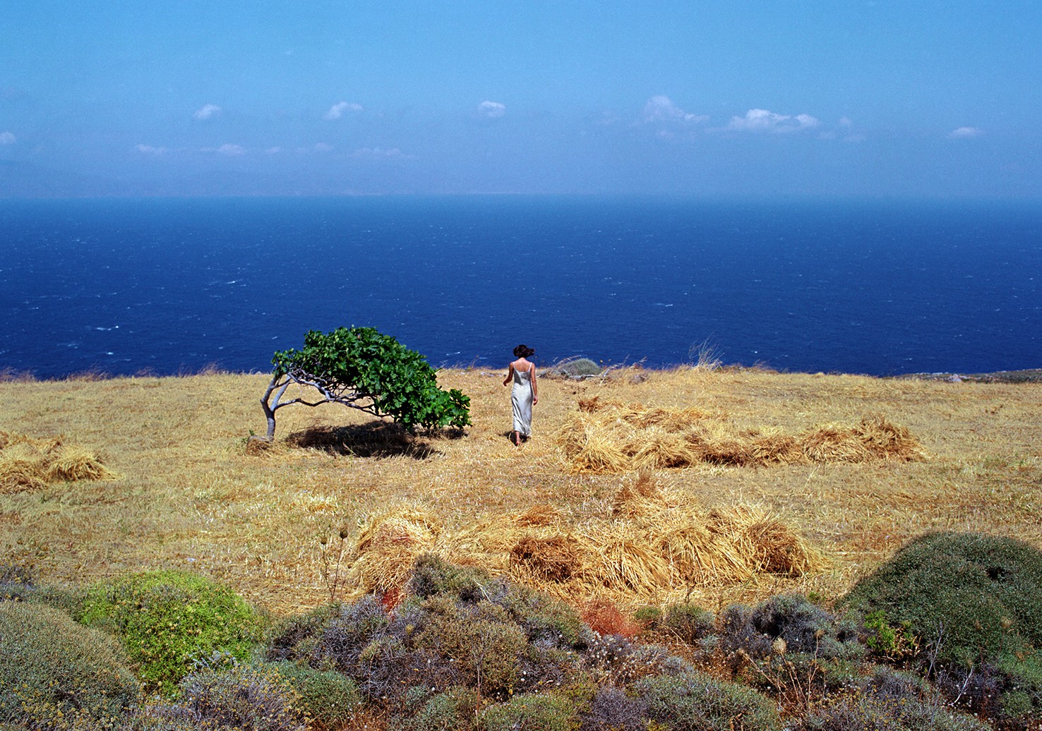 Panos Kokkinias, Chalandriani Panos Kokkinias, Chalandriani
