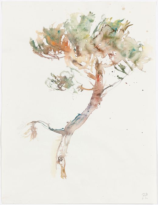 Orlando Mostyn Owen