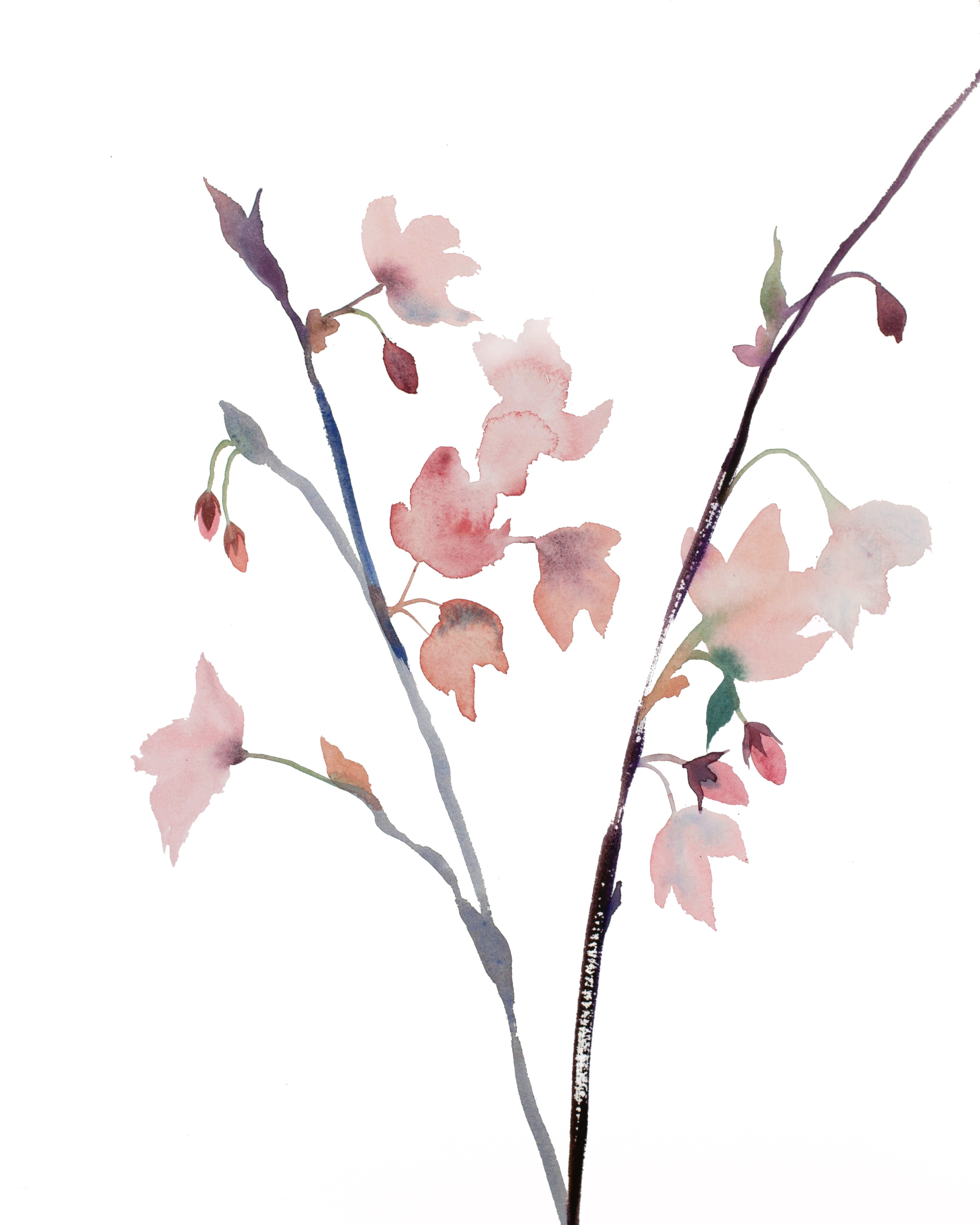 Elizabeth Becker, Cherry Blossom No. 24 Elizabeth Becker, Cherry Blossom No. 24