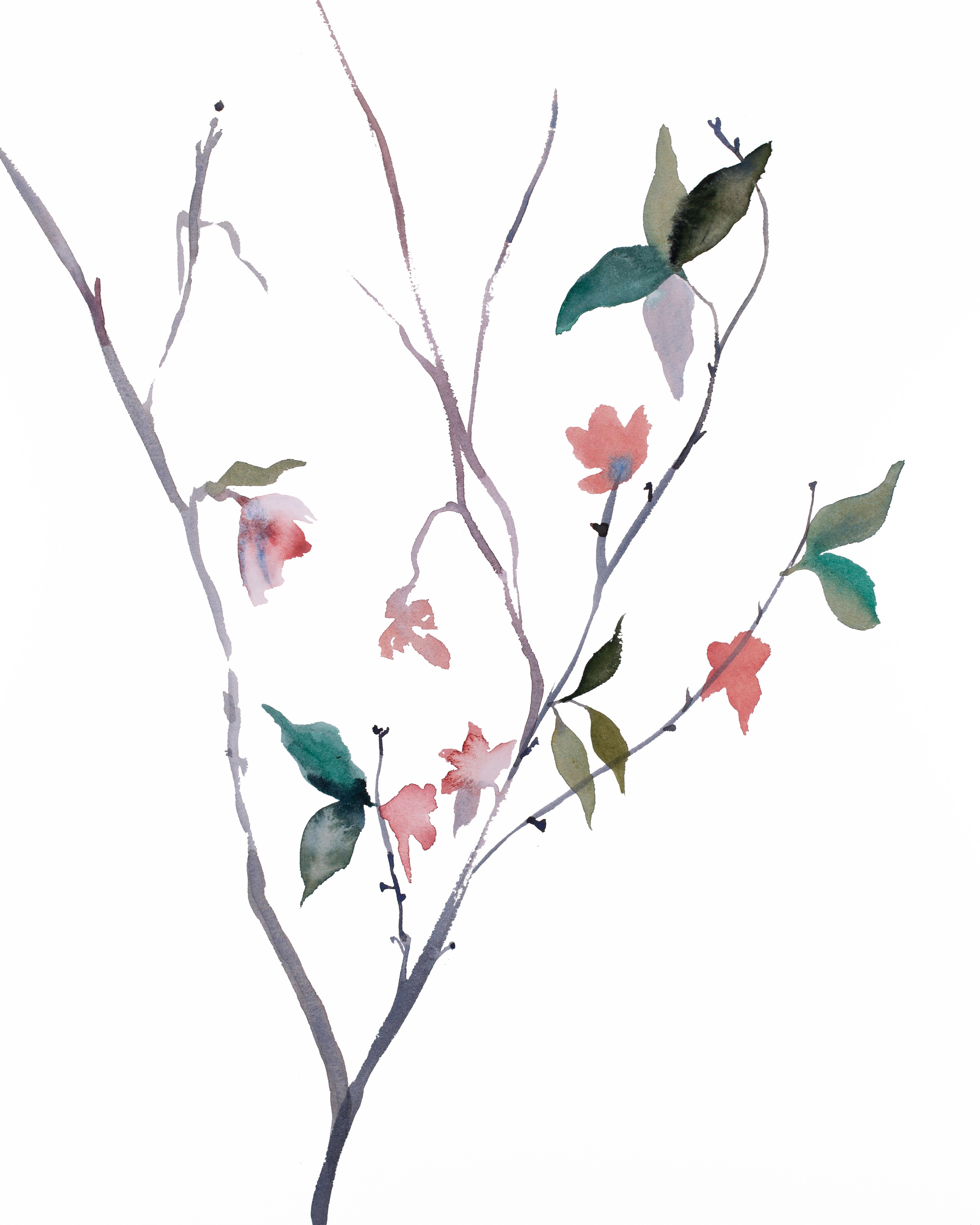Elizabeth Becker, Cherry Blossom No. 25 Elizabeth Becker, Cherry Blossom No. 25