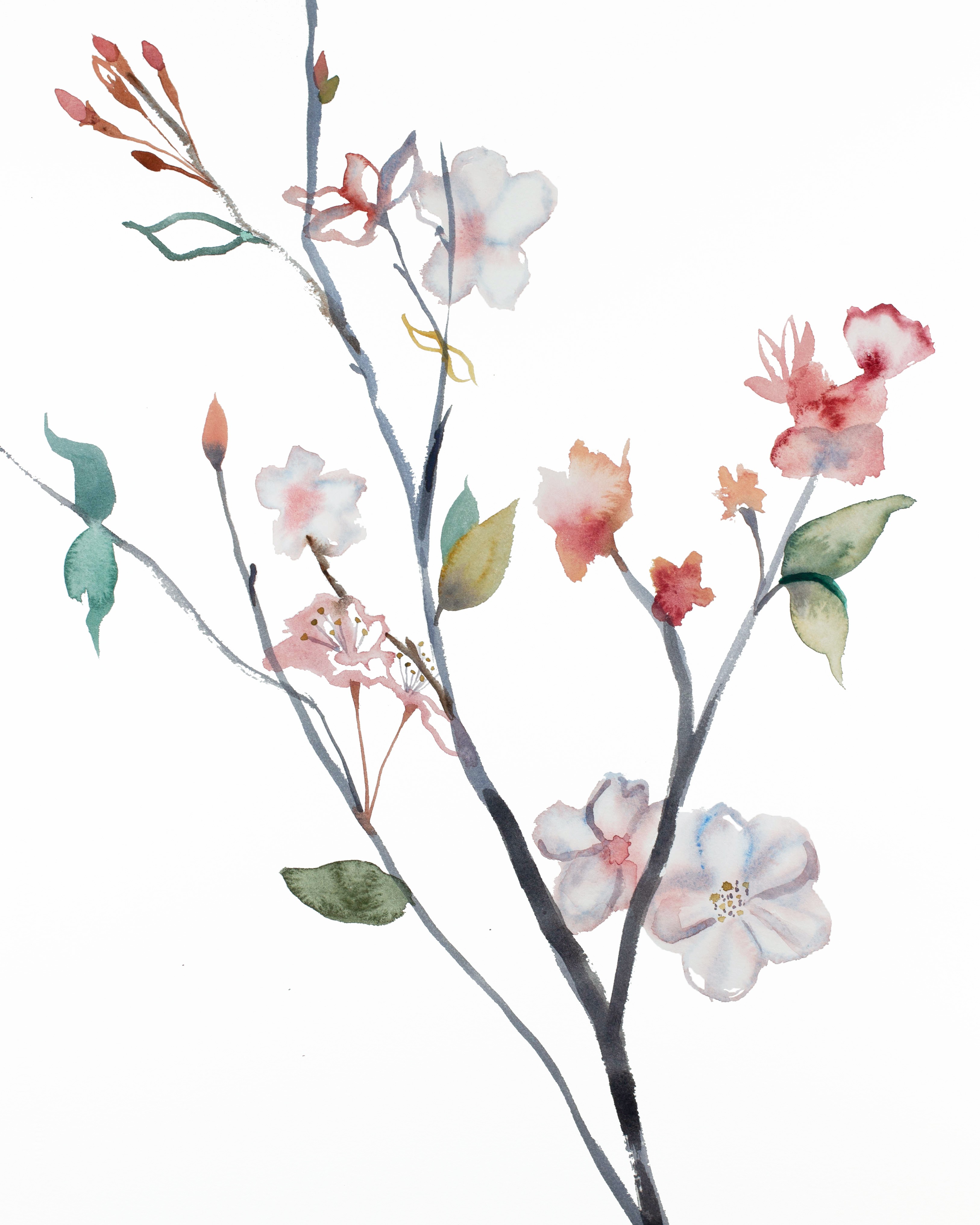 Elizabeth Becker, Cherry Blossom No. 28 Elizabeth Becker, Cherry Blossom No. 28