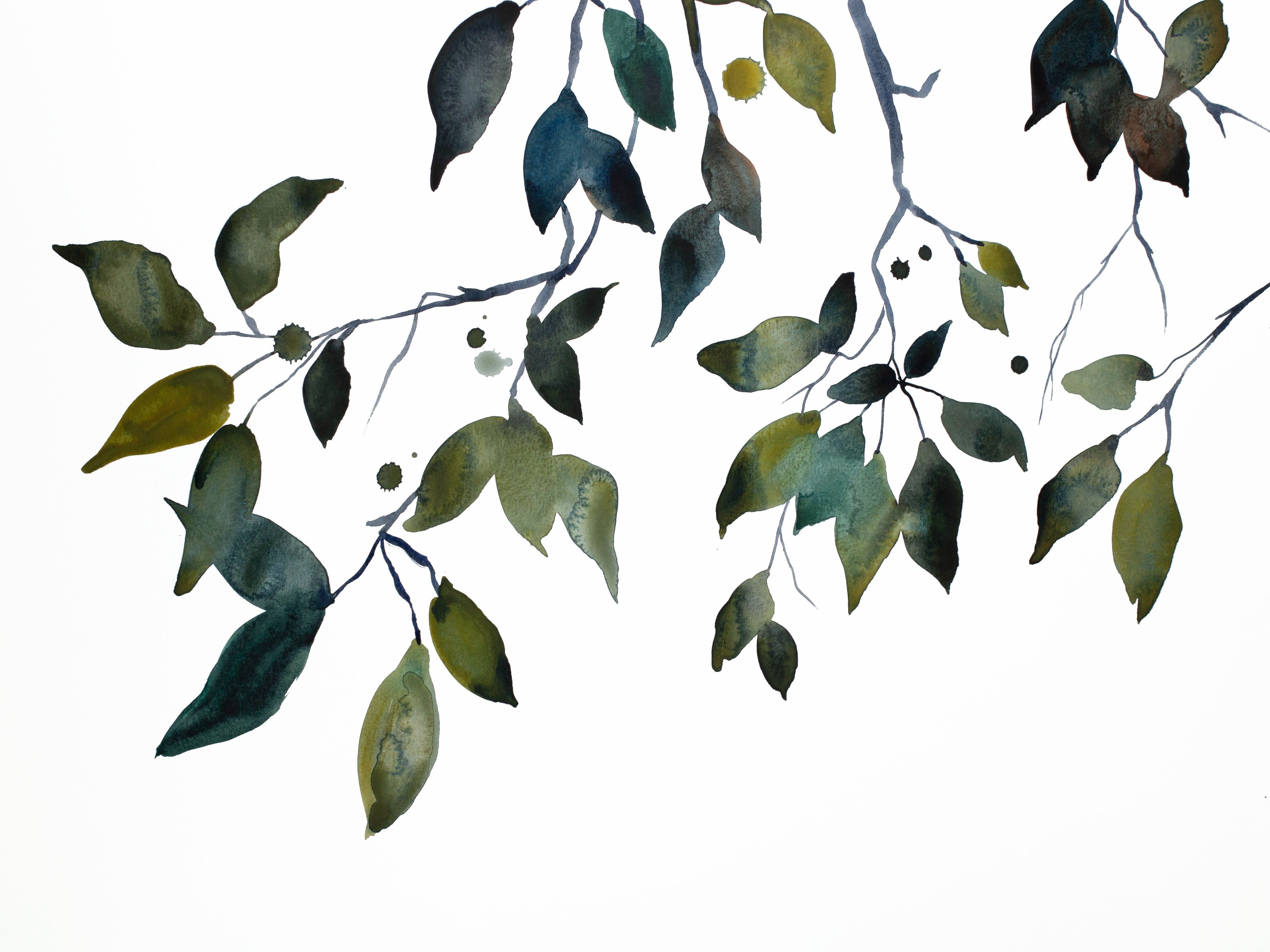 Elizabeth Becker, Branch Study No. 32 Elizabeth Becker, Branch Study No. 32