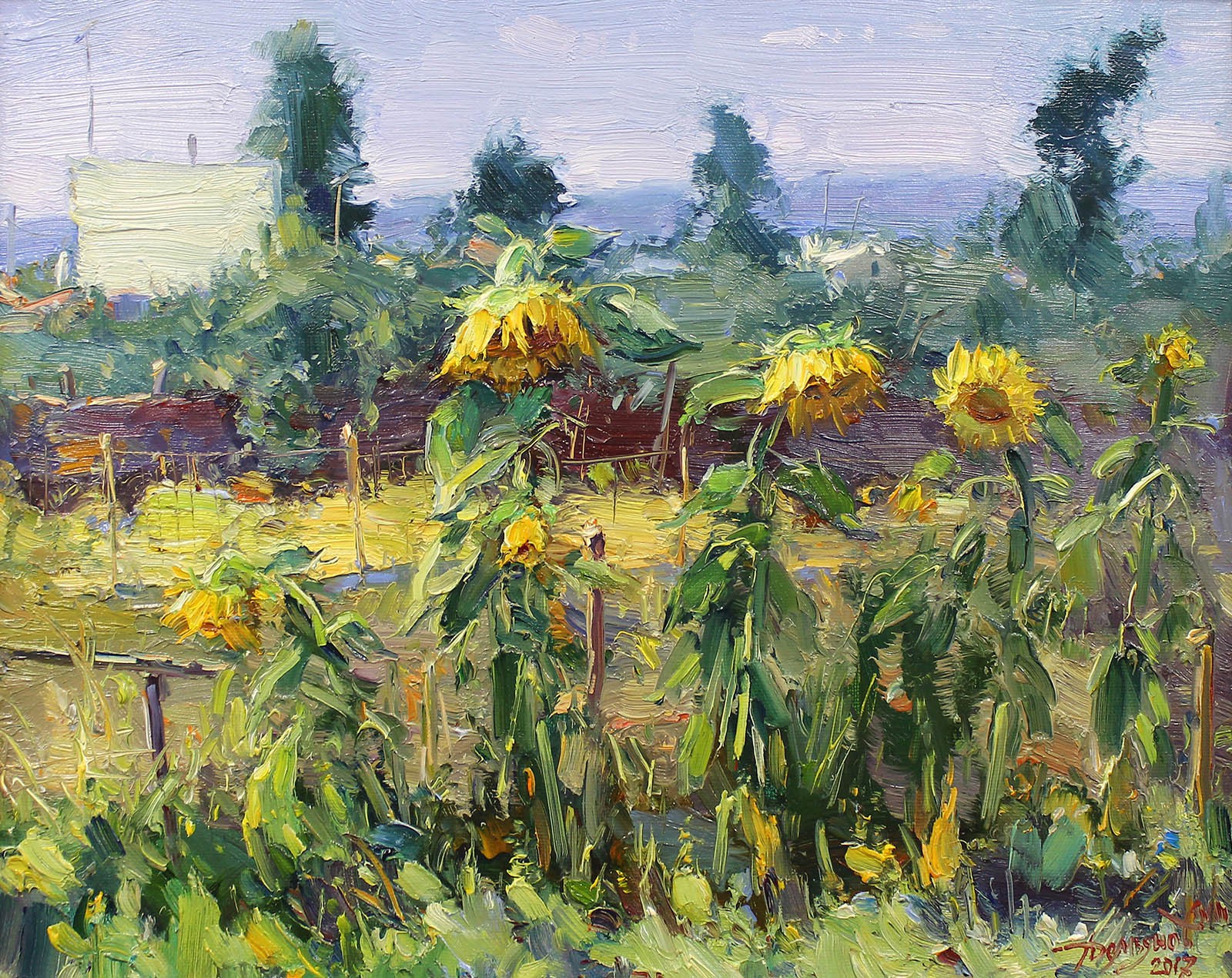 Yuriy Demiyanov, Tournesols Yuriy Demiyanov, Tournesols