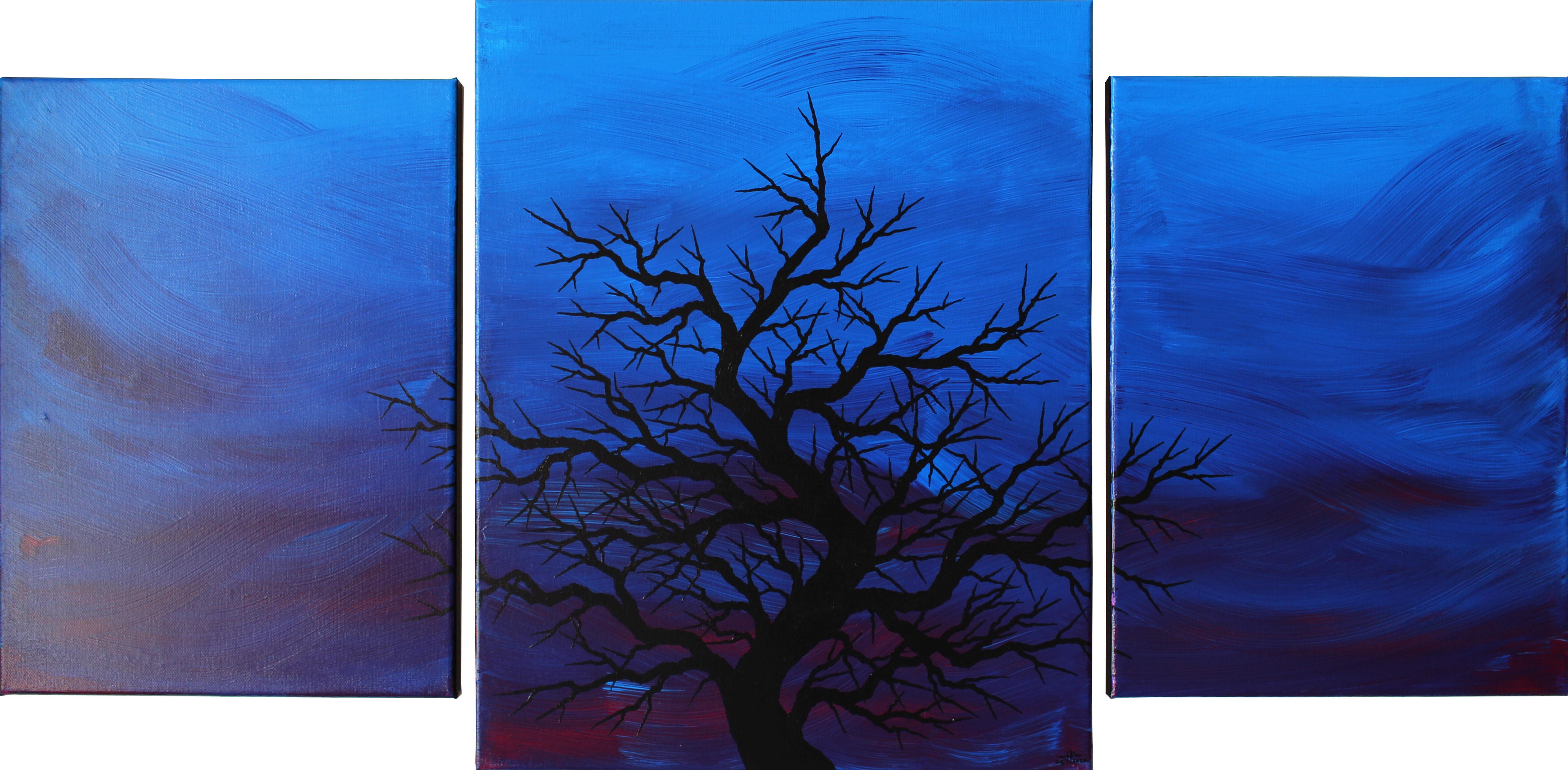 Jonathan Pradillon, Silhouette sombre d'arbre Jonathan Pradillon, Silhouette sombre d'arbre