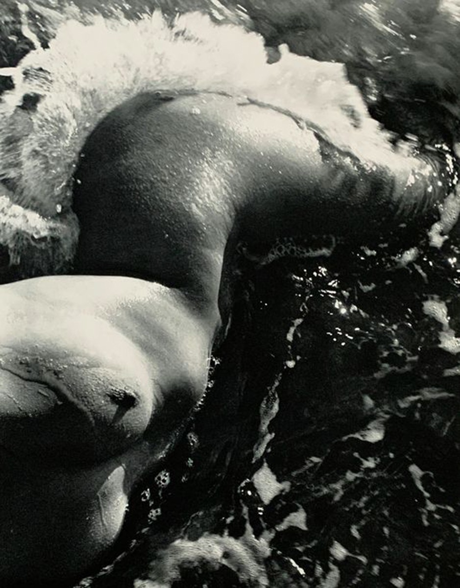 Lucien Clergue, Née de la vague Lucien Clergue, Née de la vague