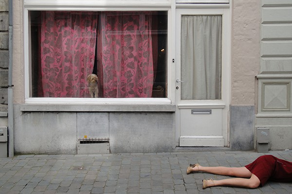 Priscilla Beccari, La chute et le chien Priscilla Beccari, La chute et le chien