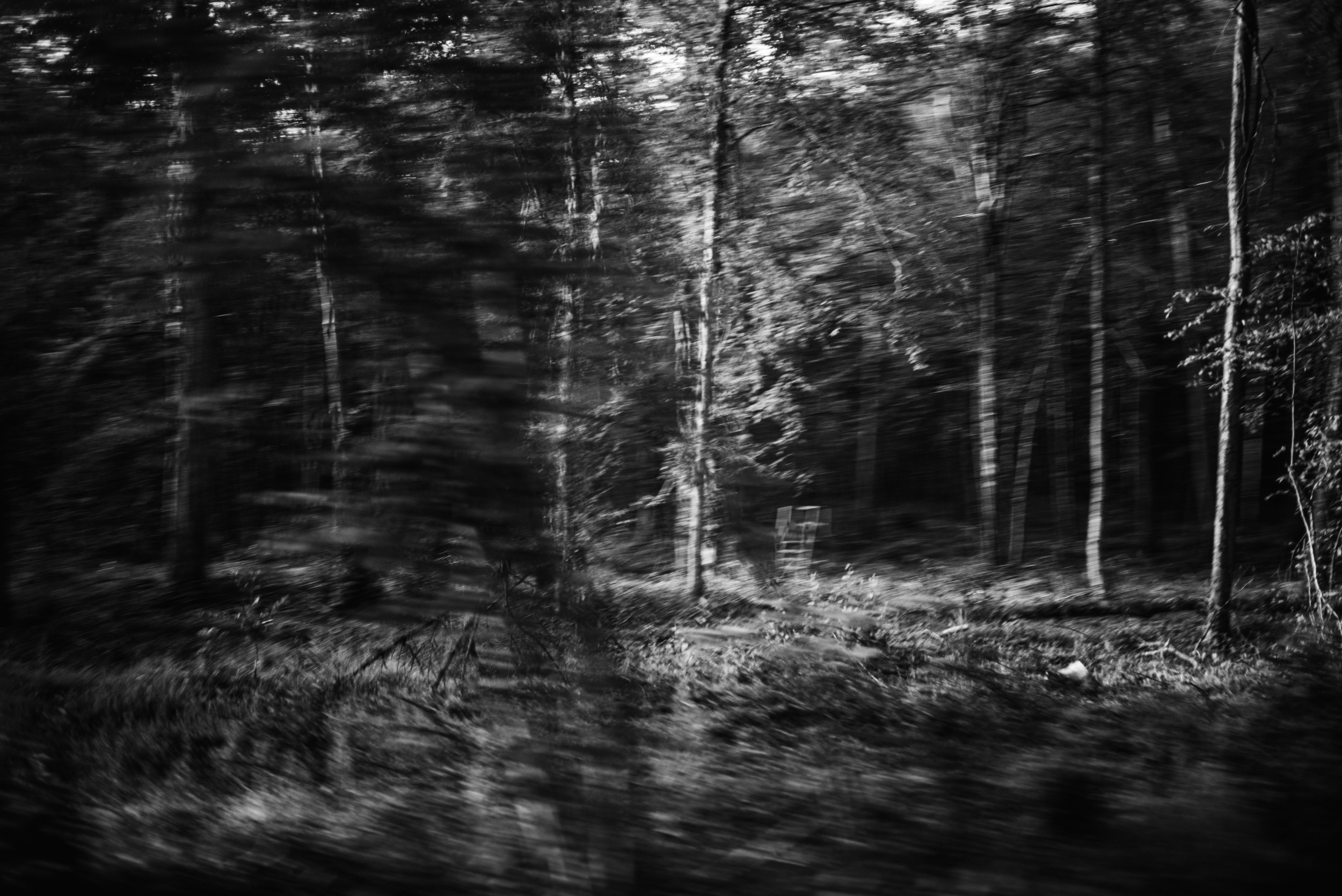 Sébastien Chauchot, Forêt d'Ardenne Sébastien Chauchot, Forêt d'Ardenne