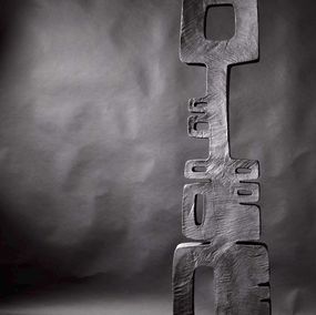 Thierry Martenon, Bronze N°4 (TM65) Thierry Martenon, Bronze N°4 (TM65)