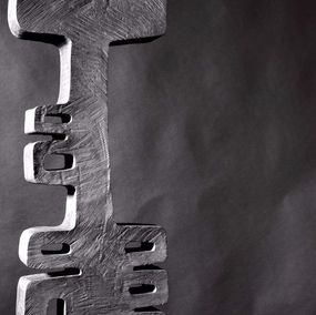 Thierry Martenon, Bronze N°4 (TM65) Thierry Martenon, Bronze N°4 (TM65)