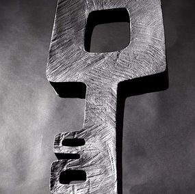 Thierry Martenon, Bronze N°4 (TM65) Thierry Martenon, Bronze N°4 (TM65)