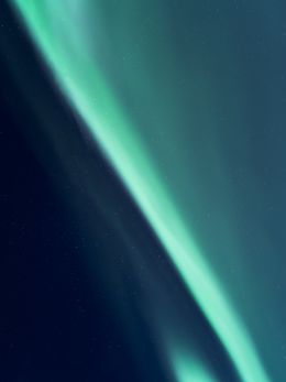 Aurora, Tommy Kwak