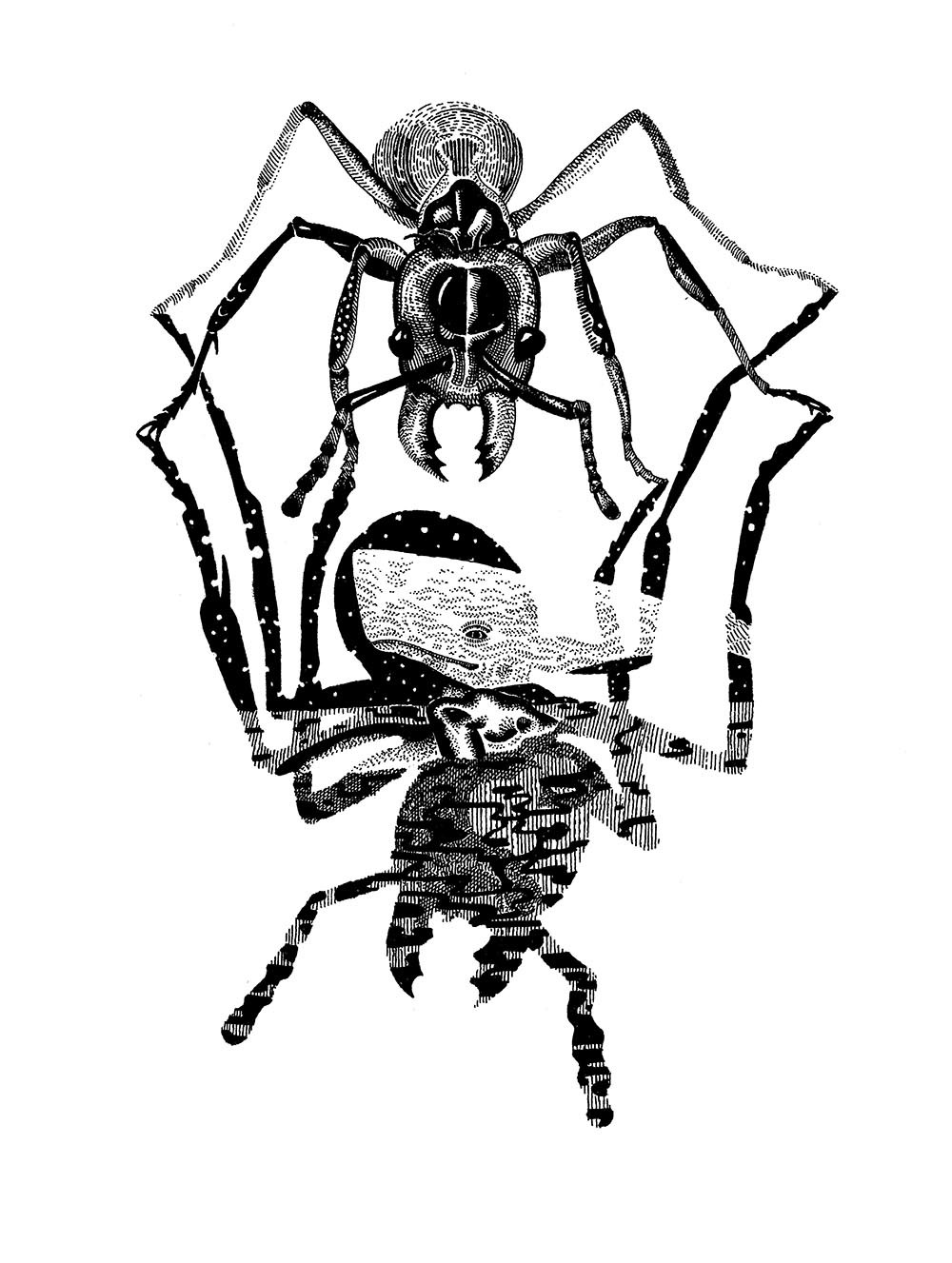 Boris Pramatarov, Insects' Secrets 6 Boris Pramatarov, Insects' Secrets 6