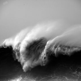 Mare #349, Alessandro Puccinelli