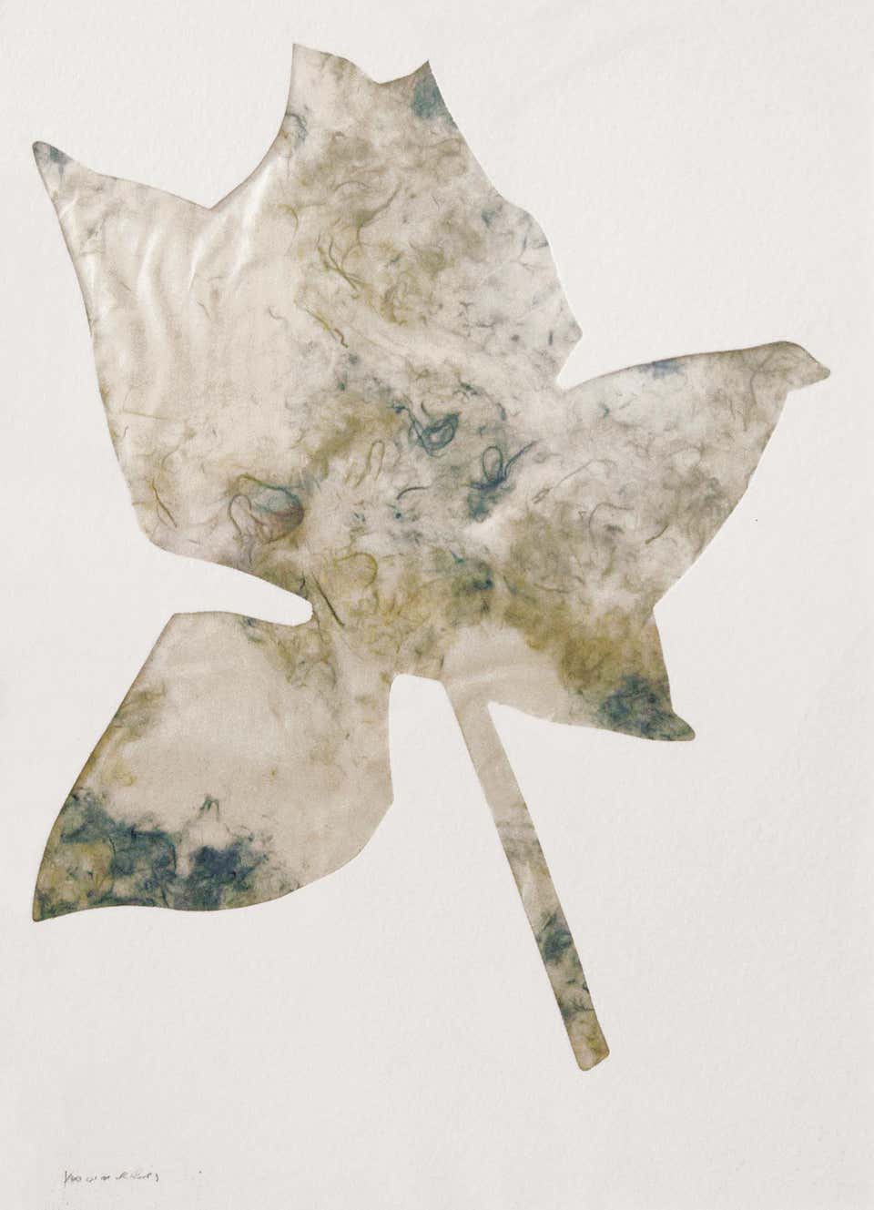 Jannis Kounellis, Rose Jannis Kounellis, Rose