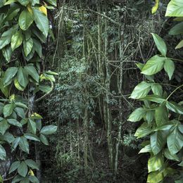 Photography, Vert II, Daniel Mansur