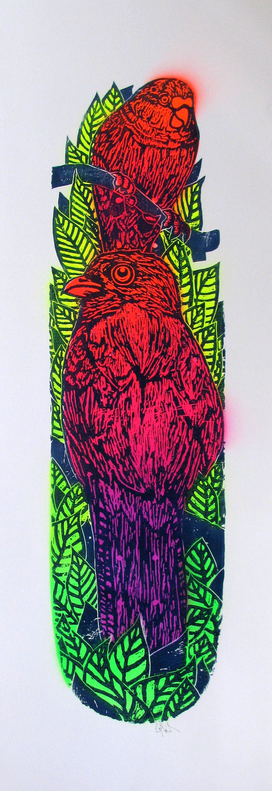 Osru, Skate / Oiseaux Jungle Osru, Skate / Oiseaux Jungle