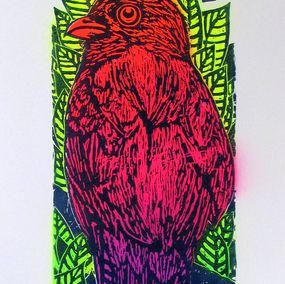 Print, Skate / Oiseaux Jungle, Osru