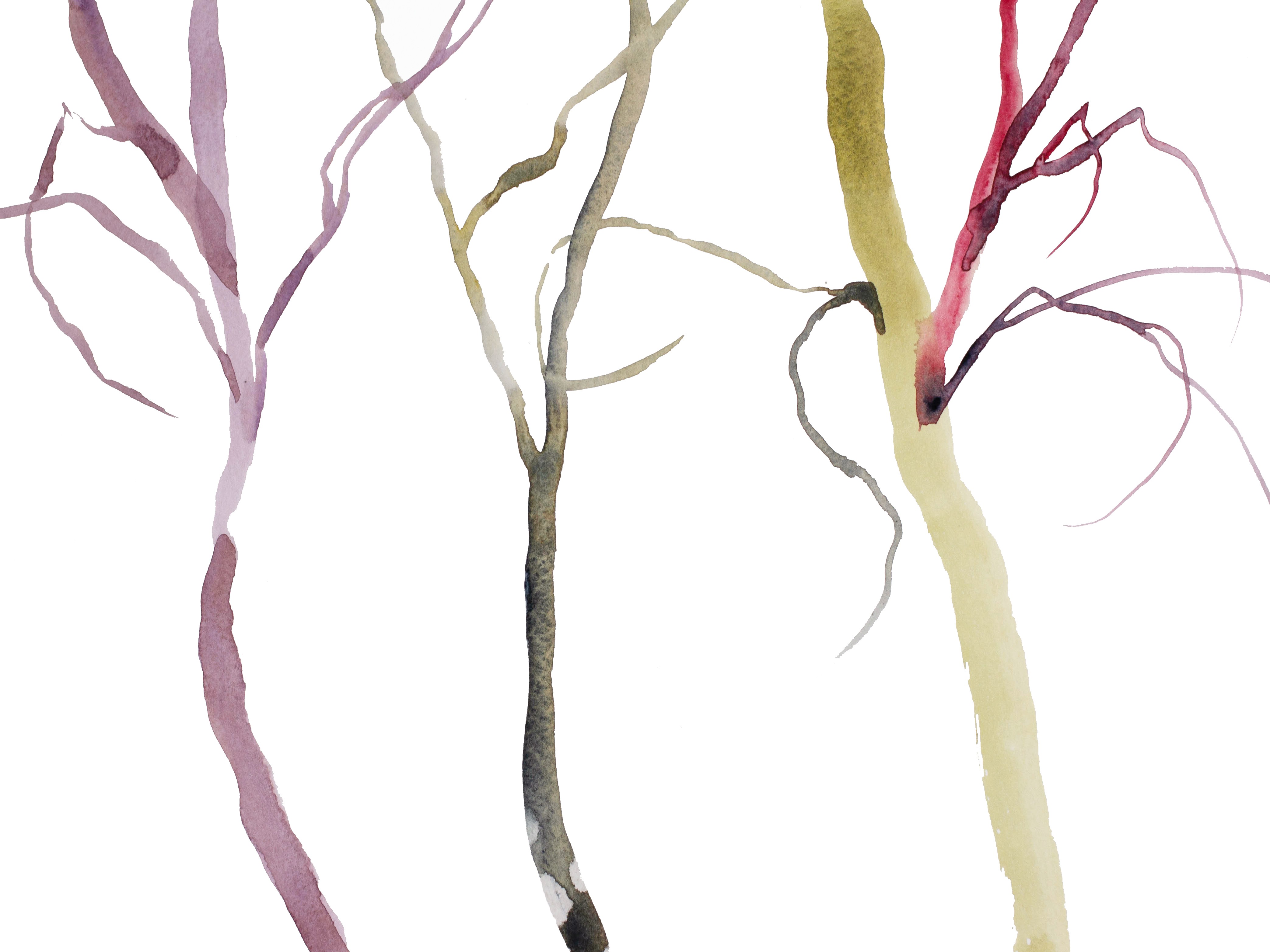 Elizabeth Becker, Tree Study No. 37 Elizabeth Becker, Tree Study No. 37